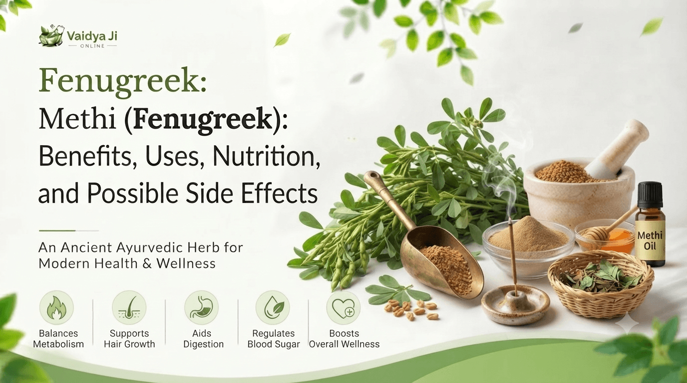 Methi (Fenugreek): Benefits, Uses, Nutrition, and Possible Side Effects