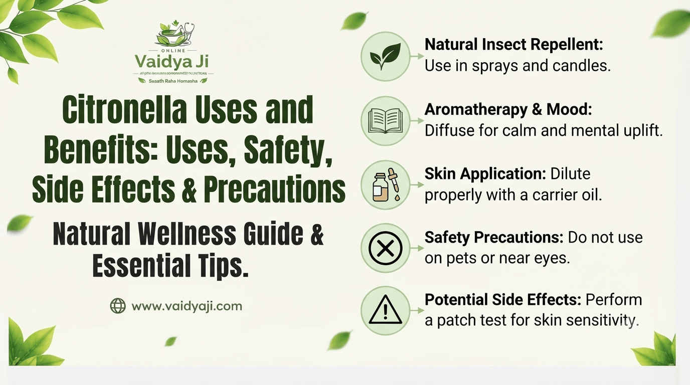 Citronella Uses and Benefits: Uses, Safety, Side Effects & Precautions