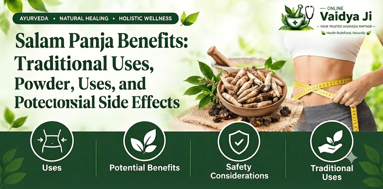 Salam Panja Benefits Traditional Uses, Powder, Uses, and Potential Side Effects
