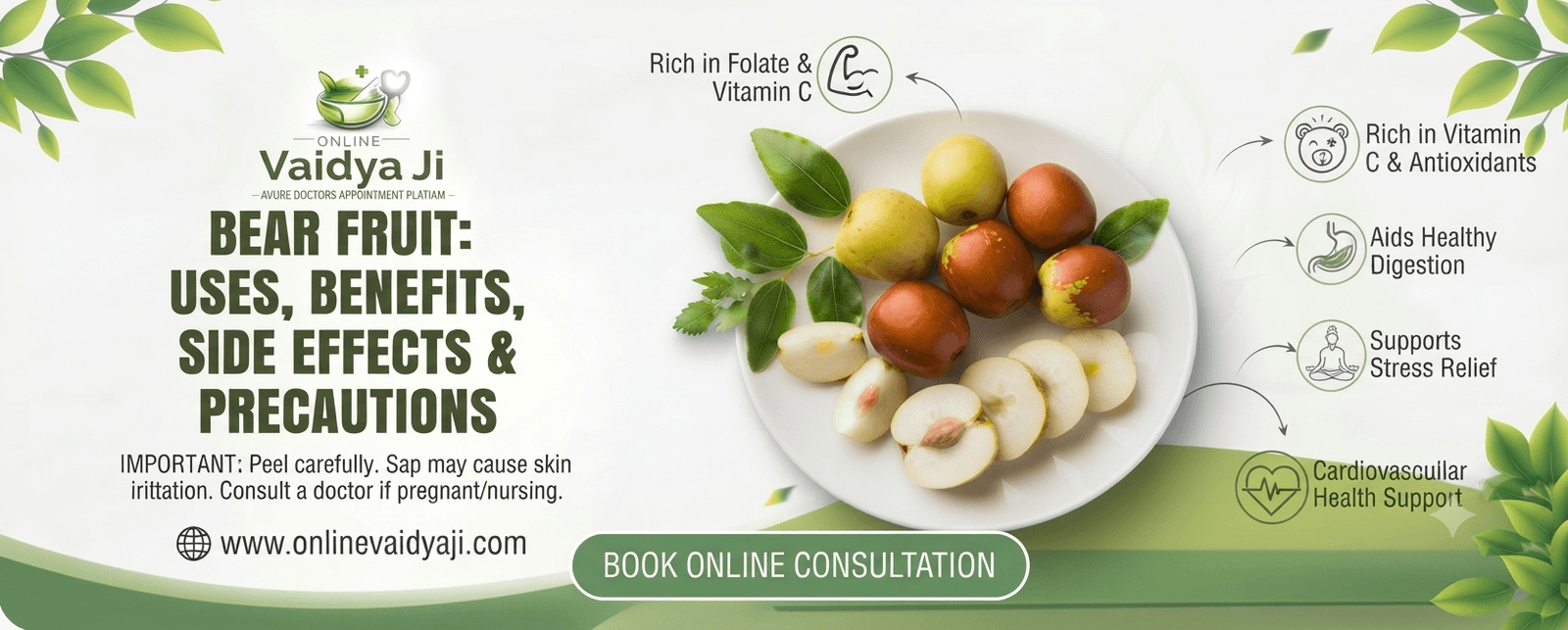 Bear Fruit Uses, Benefits, Side Effects & Precautions