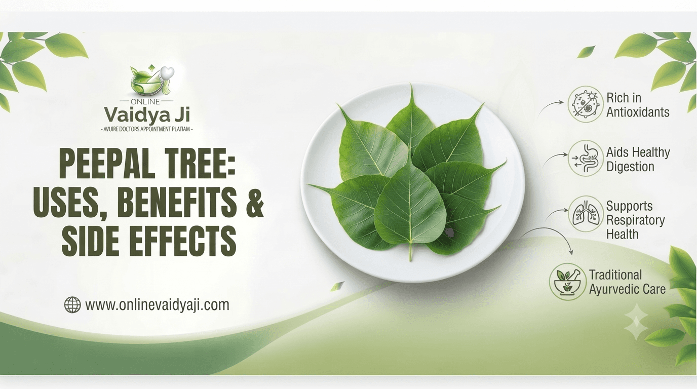 Peepal Tree Uses, Benefits & Side Effects