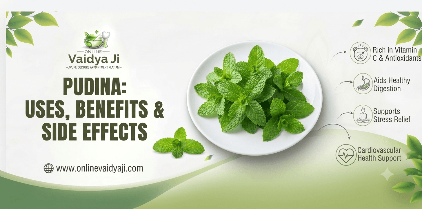 Pudina Uses, Benefits & Side Effects